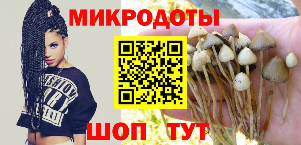 Галлюциногенные грибы Magic Shrooms  купить закладку  Екатеринбург  Вход с VPN 